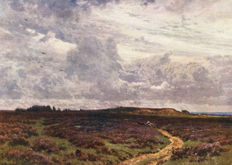 The Sandy Road, Milford Heath by Harold Sutton Palmer