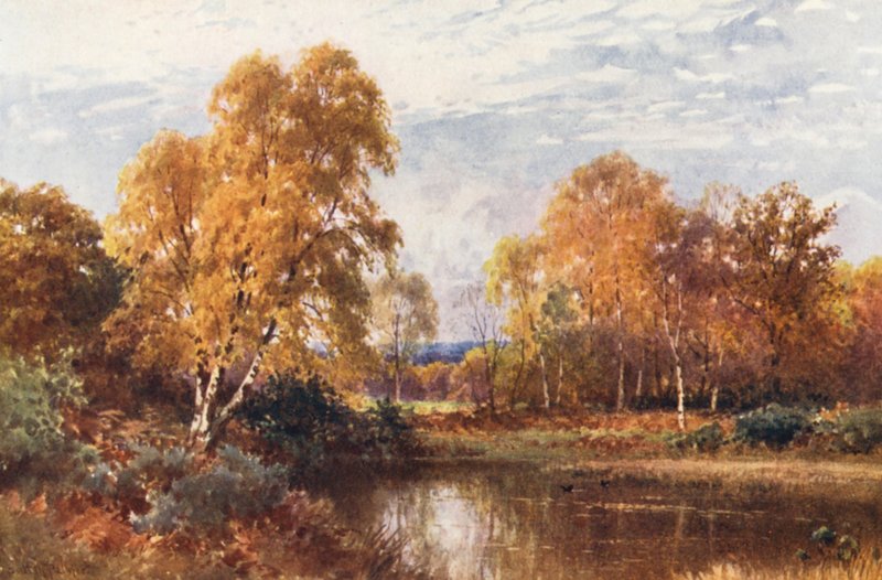 The Waning Year by Harold Sutton Palmer