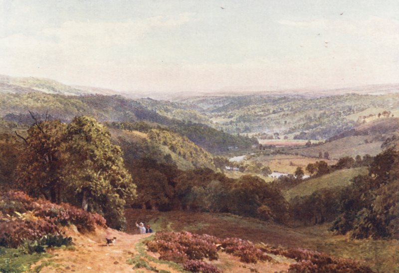 Vale of Albury, from St Martha