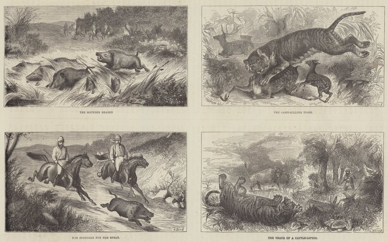 India and the Prince of Wales by Harrington Bird