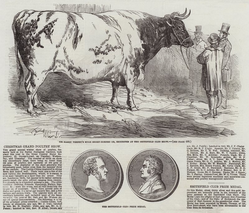 Christmas Grand Poultry Show by Harrison William Weir