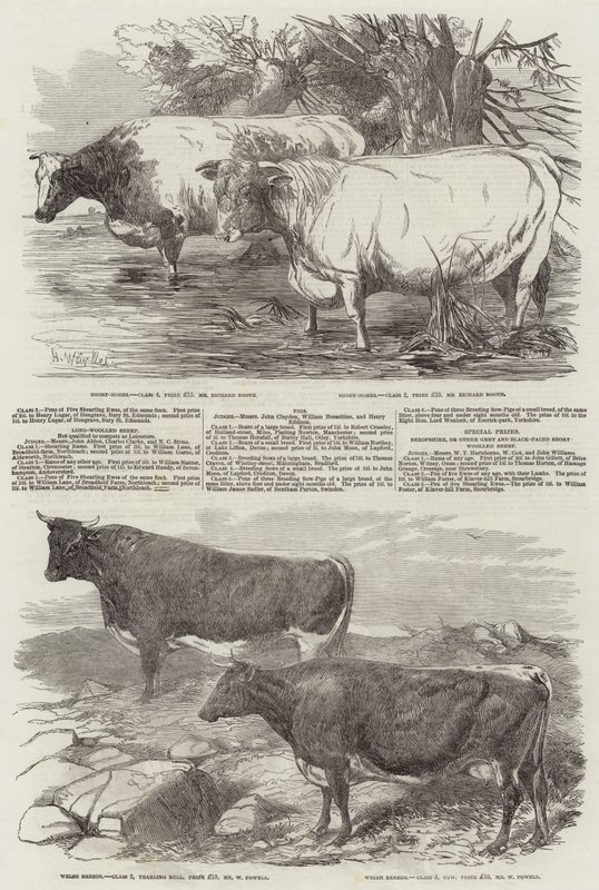 Exhibition of the Royal Agricultural Society of England by Harrison William Weir
