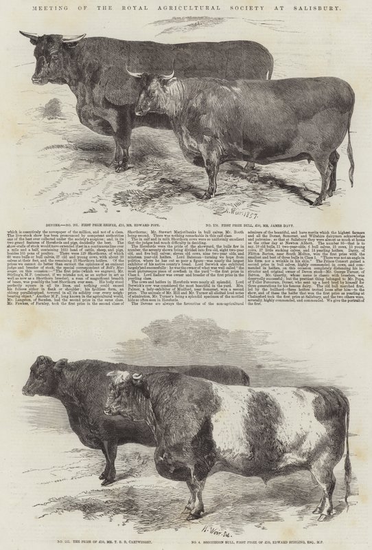 Meeting of the Royal Agricultural Society at Salisbury by Harrison William Weir