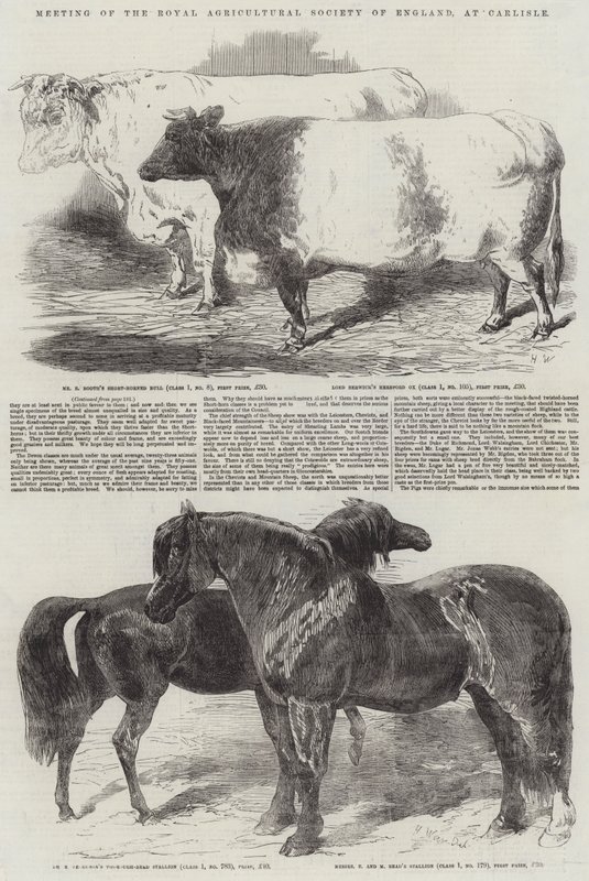 Meeting of the Royal Agricultural Society of England, at Carlisle by Harrison William Weir