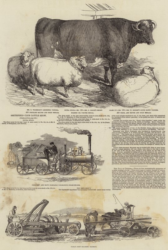 Smithfield Club Cattle Show by Harrison William Weir