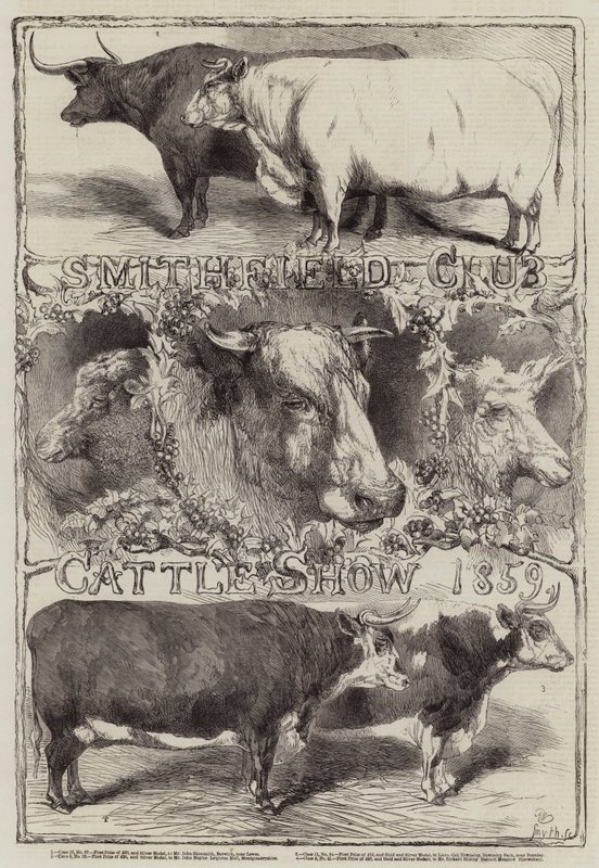 Smithfield Club Cattle Show by Harrison William Weir