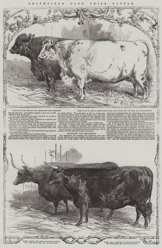 Smithfield Club Prize Cattle by Harrison William Weir