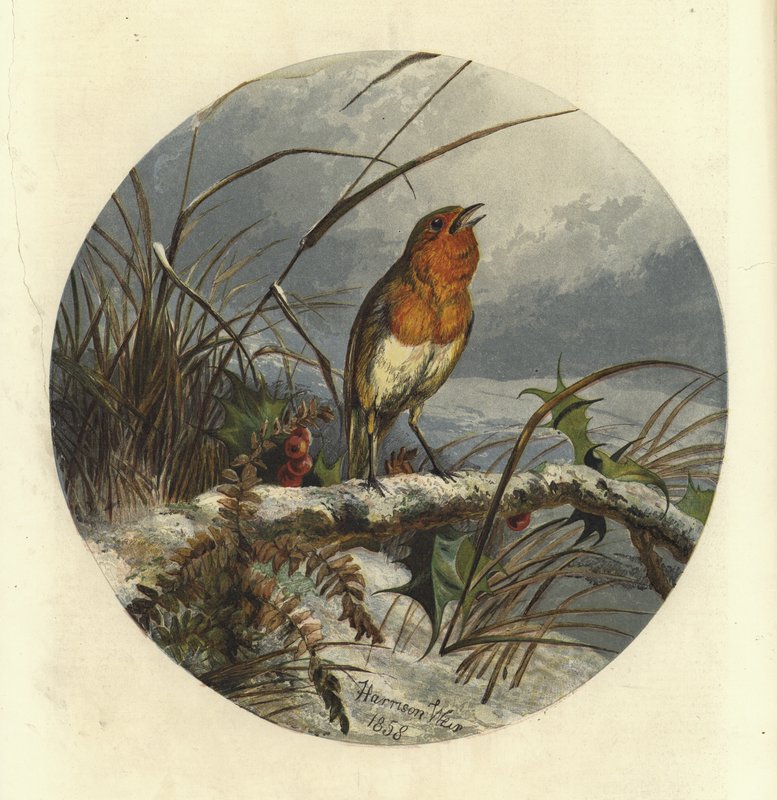 The Christmas Carol Singer by Harrison William Weir