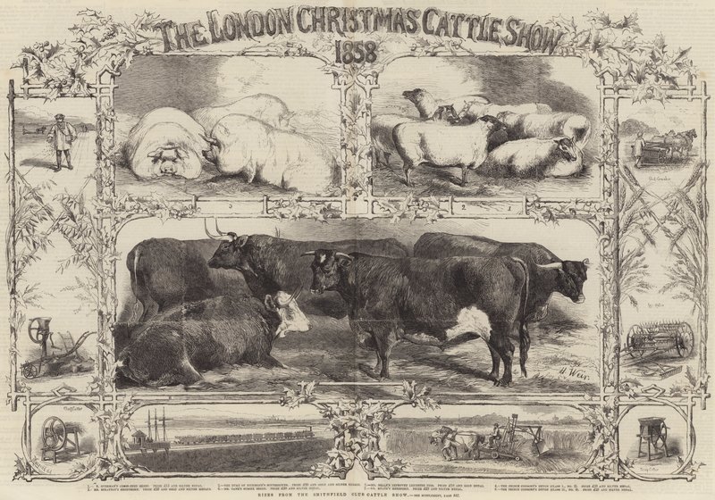 The London Christmas Cattle Show of 1858 by Harrison William Weir