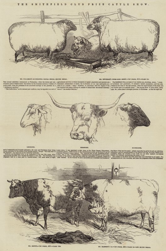 The Smithfield Club Prize Cattle Show by Harrison William Weir