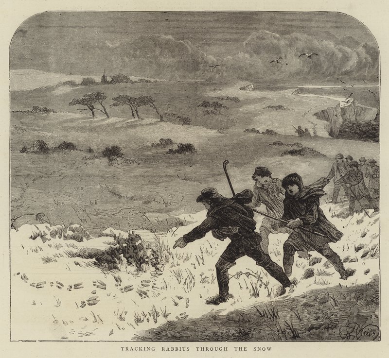 Tracking Rabbits through the Snow by Harrison William Weir