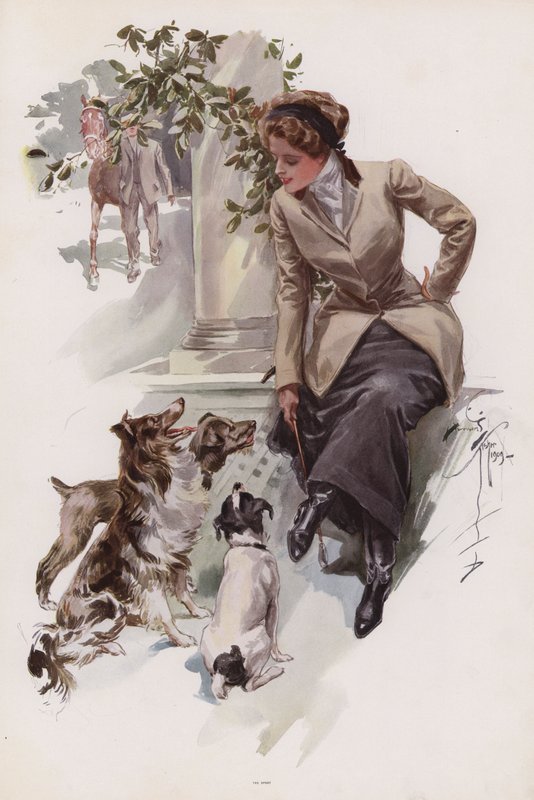 Young woman in her riding habit sitting with her dogs by Harrison Fisher