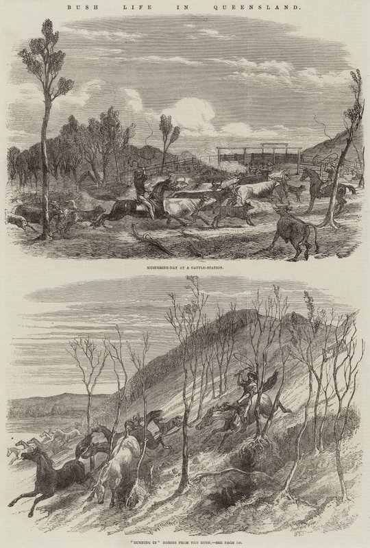 Bush Life in Queensland by Harrison William Weir