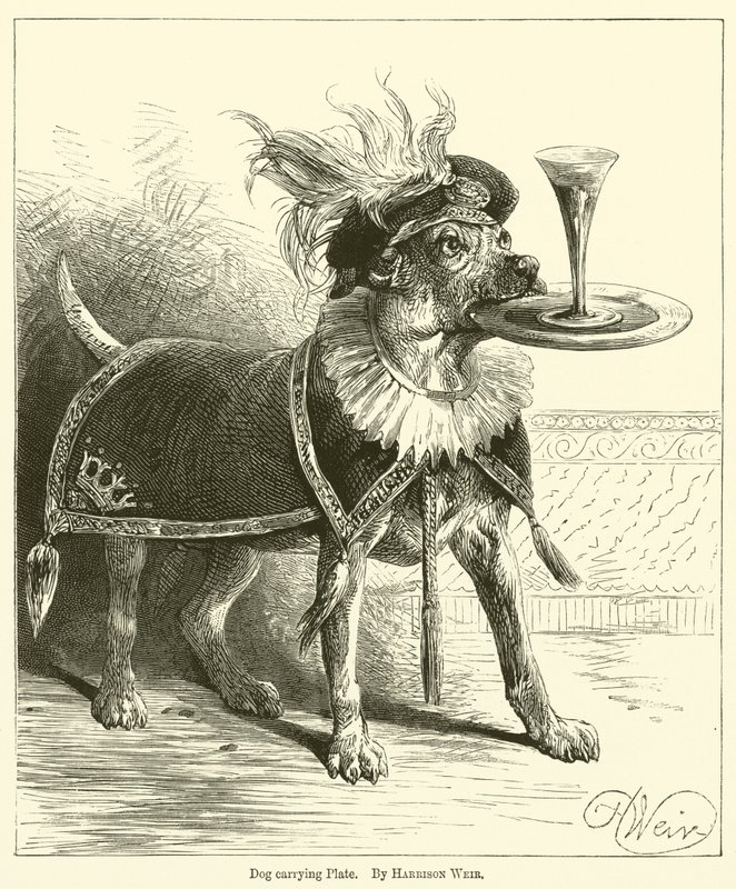 Dog Carrying Plate by Harrison William Weir