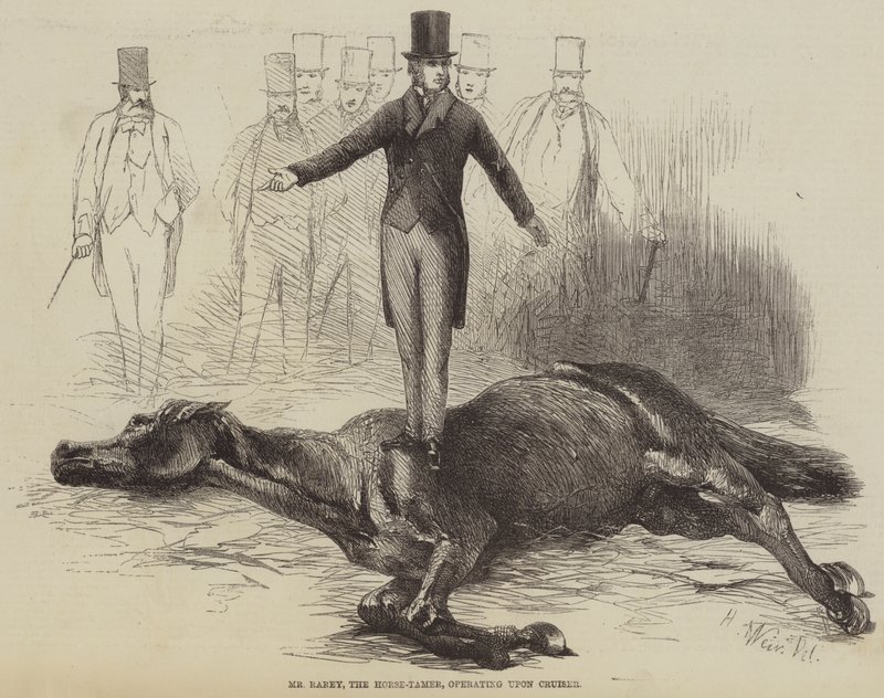 Mr. Rarey, the Horse-Tamer, Operating upon Cruiser by Harrison William Weir