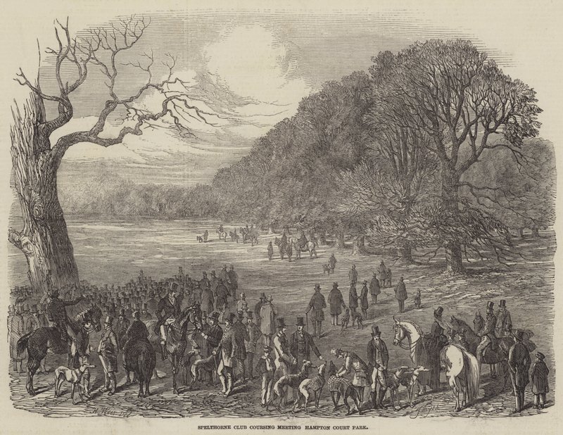 Spelthorne Club Coursing Meeting, Hampton Court Park by Harrison William Weir