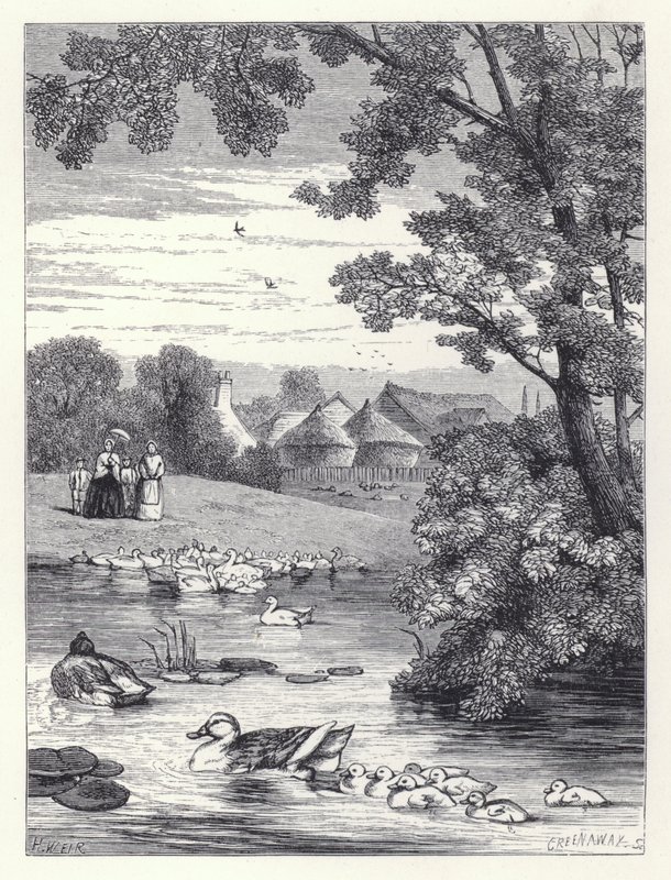 The Duck Pond by Harrison William Weir