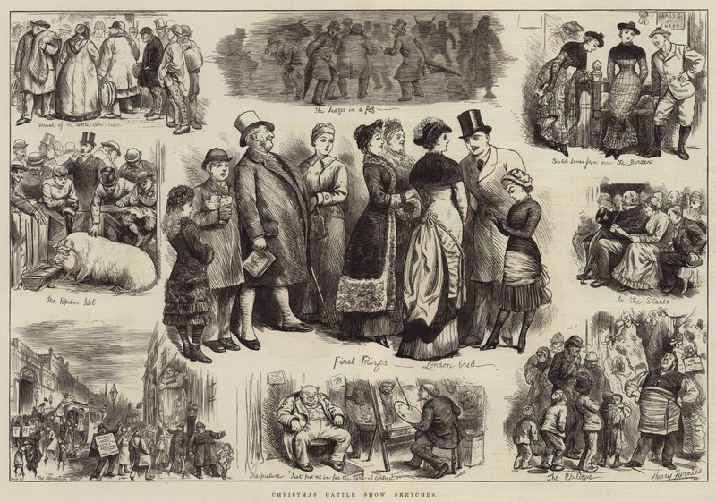 Christmas Cattle Show Sketches by Harry Furniss