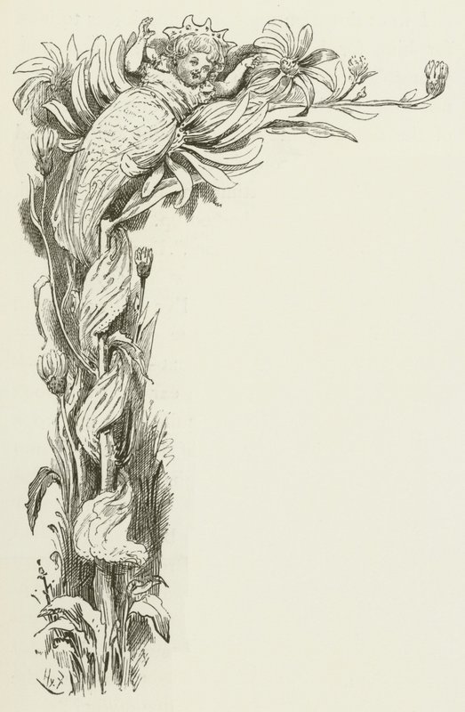 Illustration for Sylvie and Bruno by Lewis Carroll by Harry Furniss