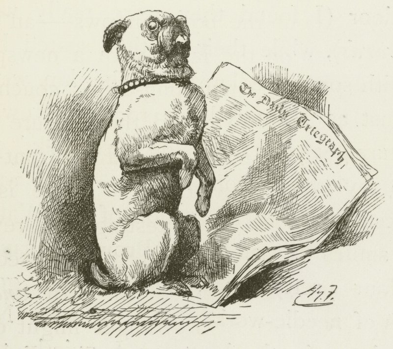 Illustration for Sylvie and Bruno by Lewis Carroll by Harry Furniss