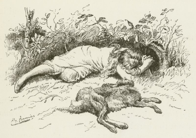 Illustration for Sylvie and Bruno by Lewis Carroll by Harry Furniss
