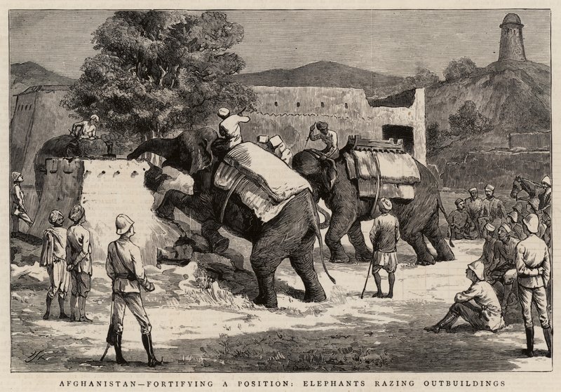 Afghanistan, fortifying a Position, Elephants razing Outbuildings by Harry Hamilton Johnston