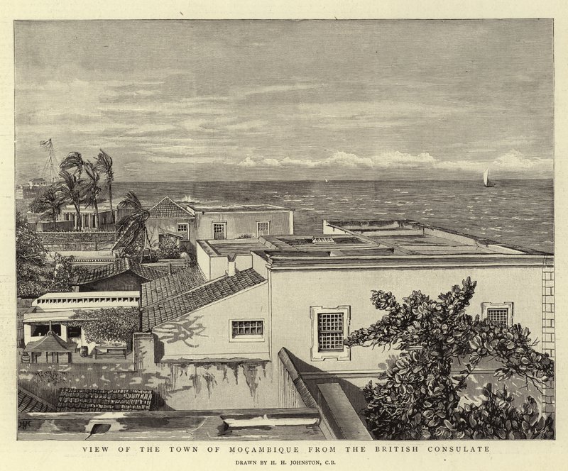 View of the Town of Mocambique from the British Consulate by Harry Hamilton Johnston