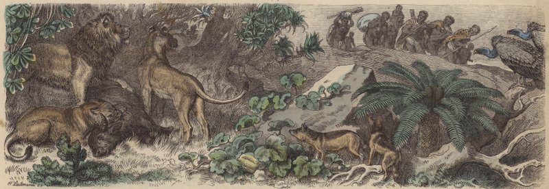 South Africa by Heinrich Leutemann