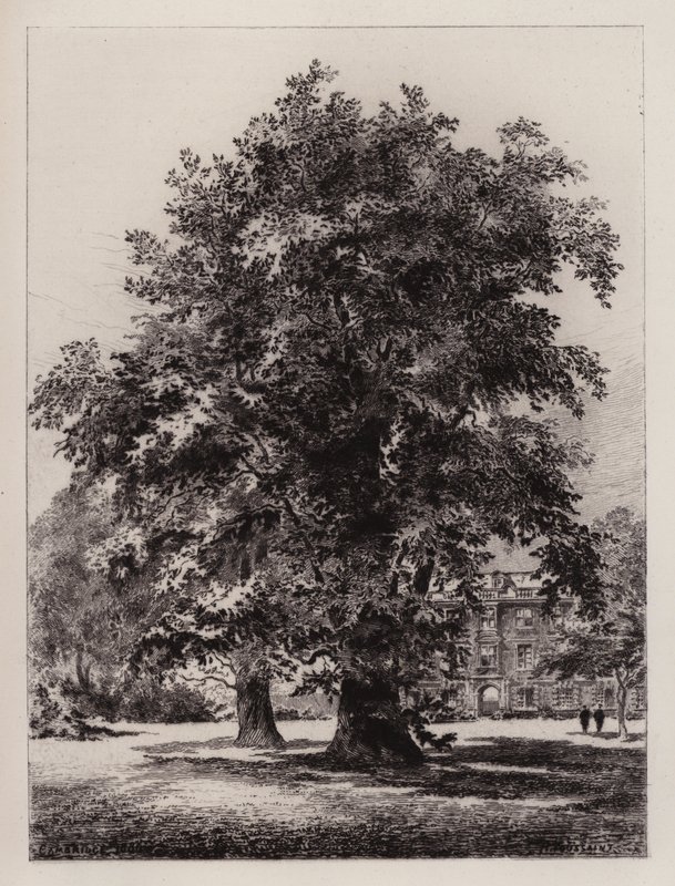 The Garden of Christ