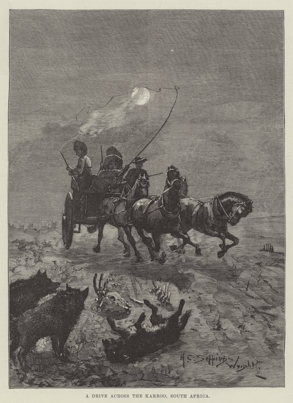 A Drive Across the Karroo, South Africa by Henry Charles Seppings Wright