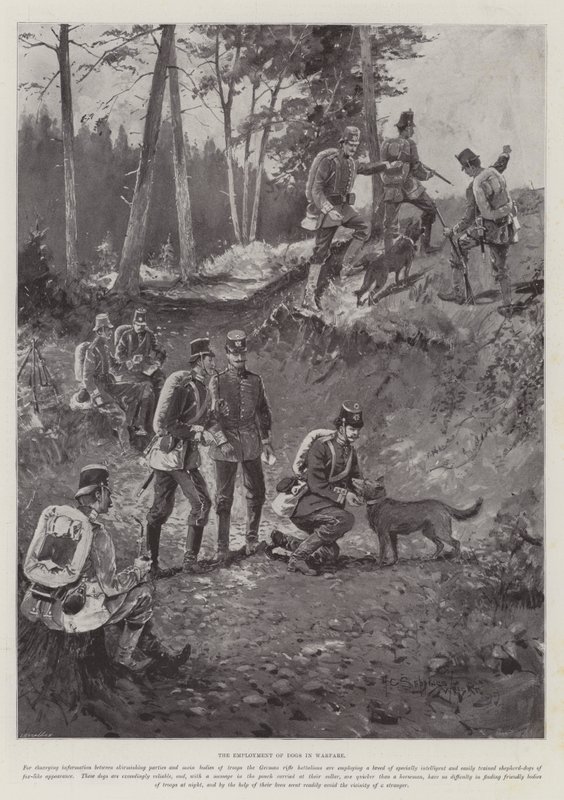The Employment of Dogs in Warfare by Henry Charles Seppings Wright