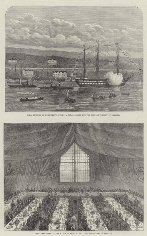 The Lord Lieutenant at Cork by Henry Spernon Tozer
