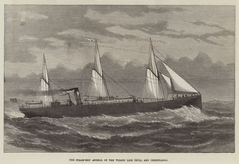 The Steam-Ship Angelo of the Wilson Line by Henry Spernon Tozer