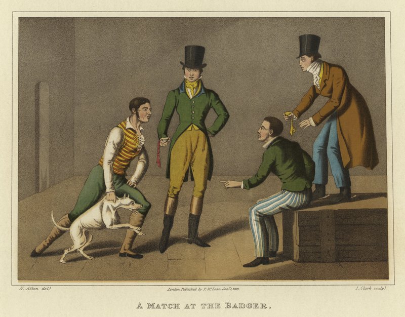 A Match at the Badger by Henry Thomas Alken