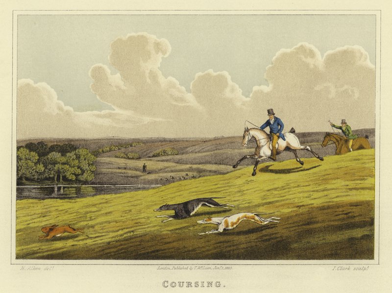 Coursing by Henry Thomas Alken