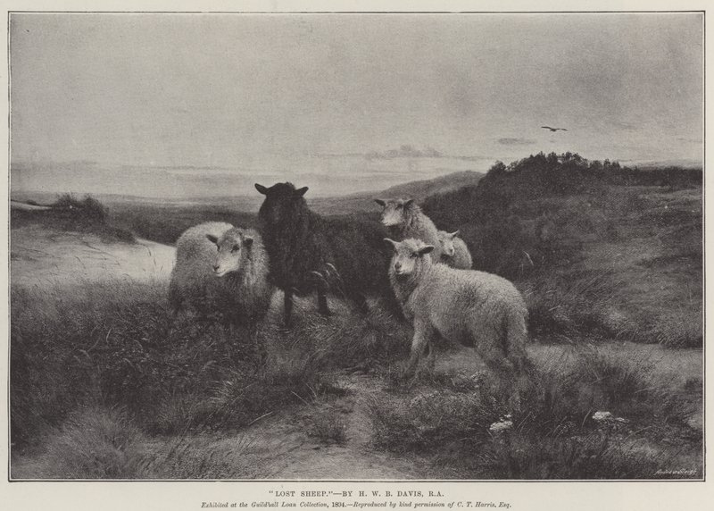 Lost Sheep by Henry William Banks Davis