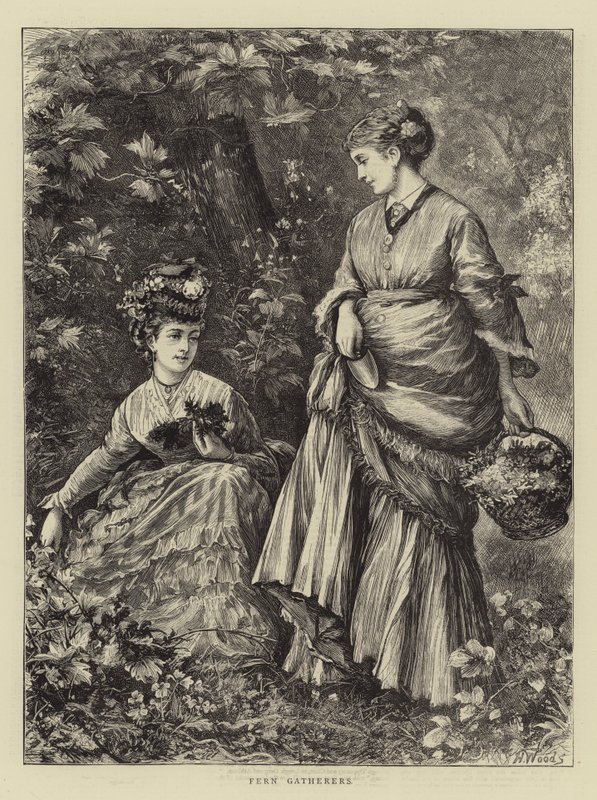 Fern Gatherers by Henry Woods