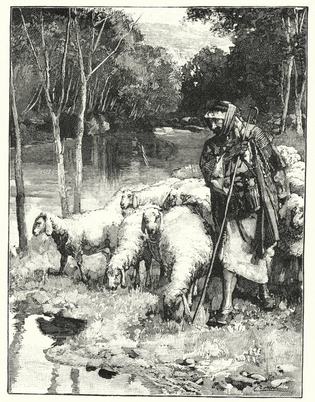 A shepherd and his flock in the Anti-Lebanon by Henry Andrew Harper