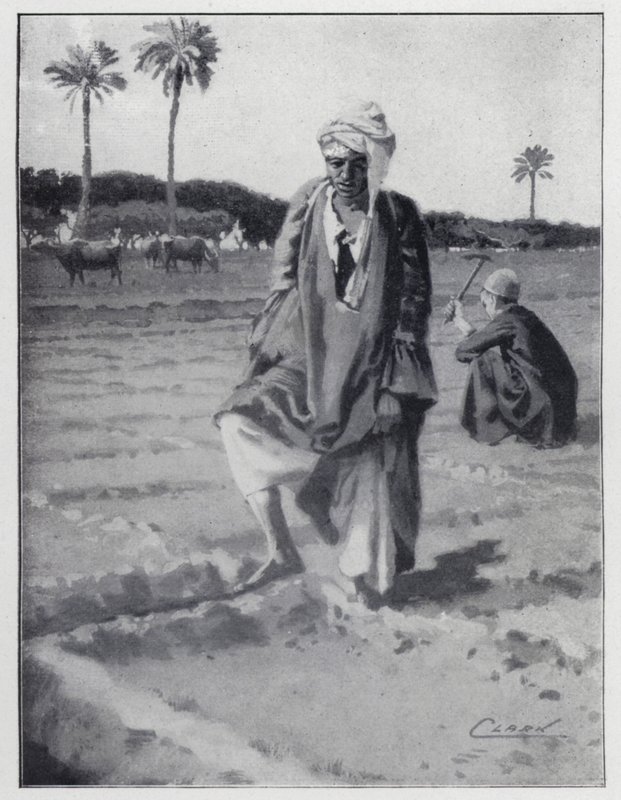 Watering with the foot at Gizeh, Egypt by Henry Andrew Harper