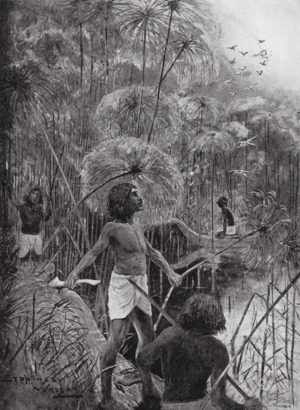 Killing Birds in the Marshes by Henry Charles Seppings Wright