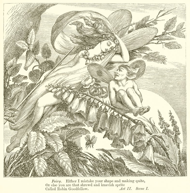 A Midsummer Night