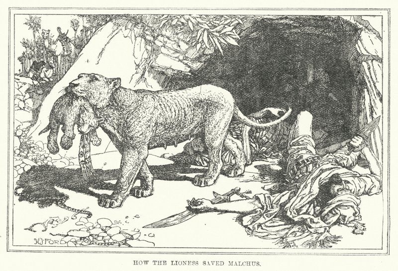 How the Lioness Saved Malchus by Henry Justice Ford