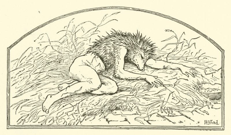 Jack My Hedgehog by Henry Justice Ford