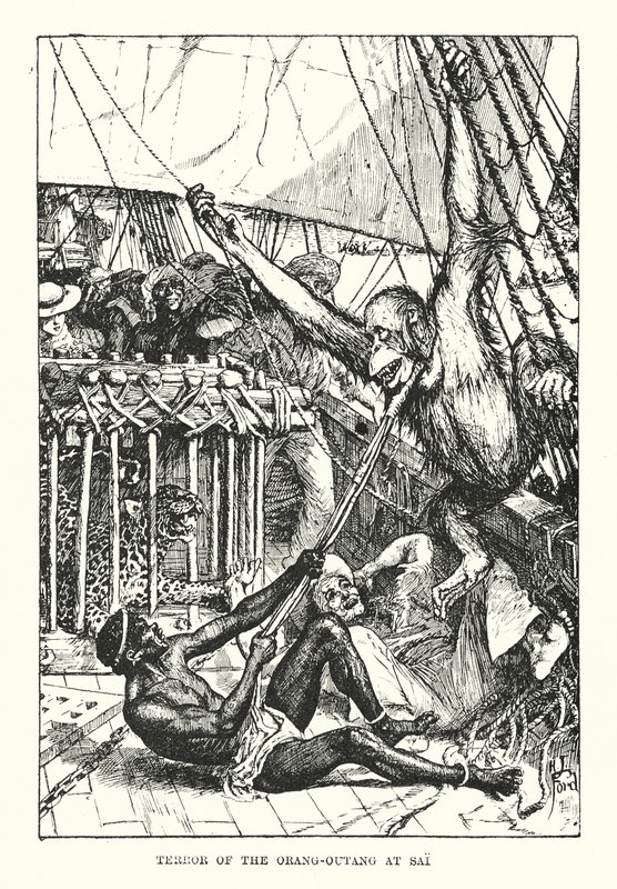 Terror of the orang-outang at Sai by Henry Justice Ford