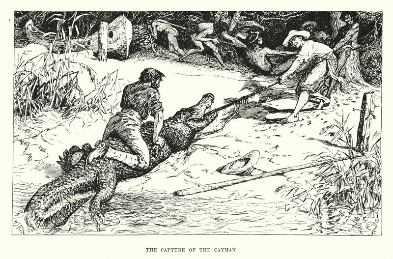 The Capture of the Cayman by Henry Justice Ford