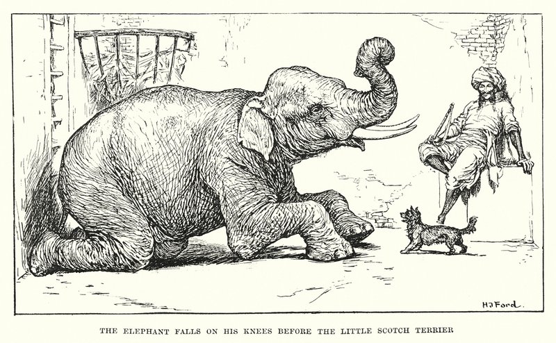 The elephant falls on his knees before the little Scotch terrier by Henry Justice Ford