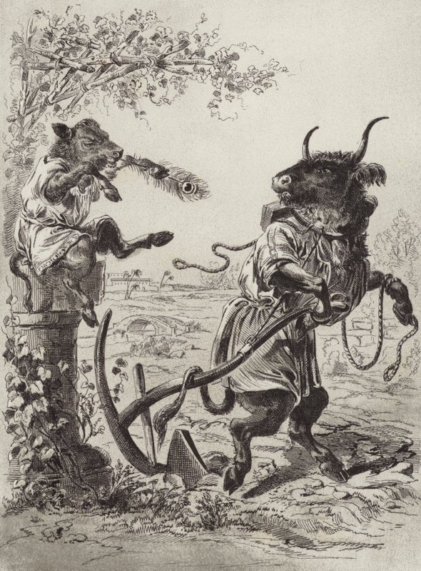 The Fables of Aesop: The Wanton Calf by Henry Louis Stephens