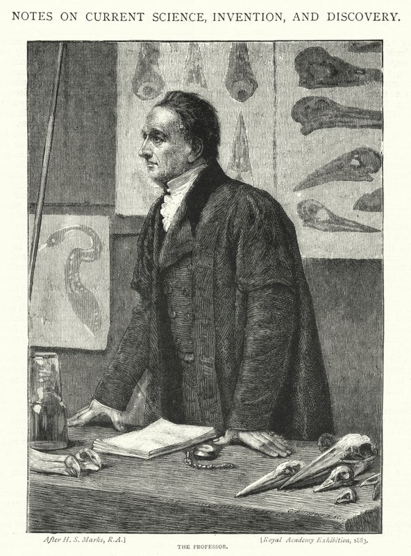 The Professor (engraving) by Henry Stacey (after) Marks