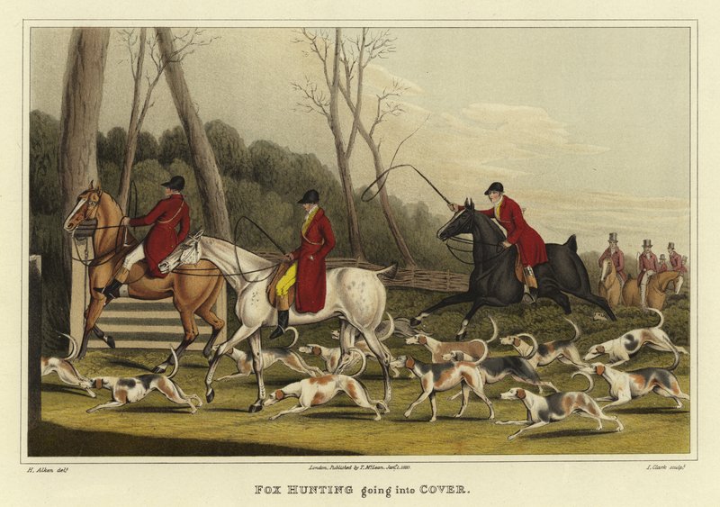 Fox Hunting Going into Cover by Henry Thomas Alken