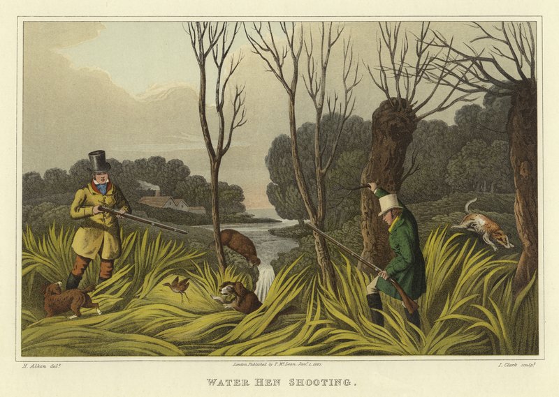 Water Hen Shooting by Henry Thomas Alken